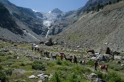 Riedgletscher