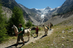 Lama Family-Weekend